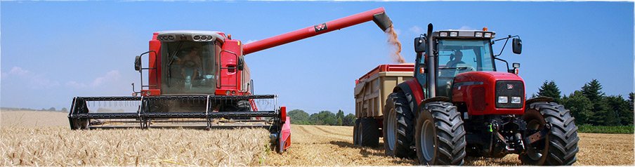 Projekte - BioRegio-Institut